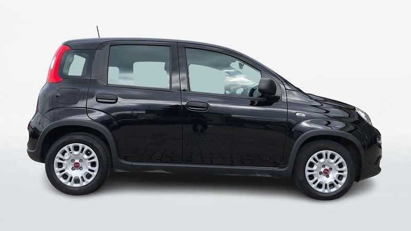 FIAT Panda 1.0 FireFly Hybrid 70cv S&S