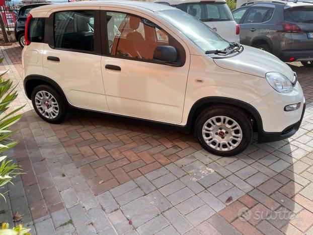 Fiat Panda 1.0 FireFly S&S Hybrid GARANZIA FIAT