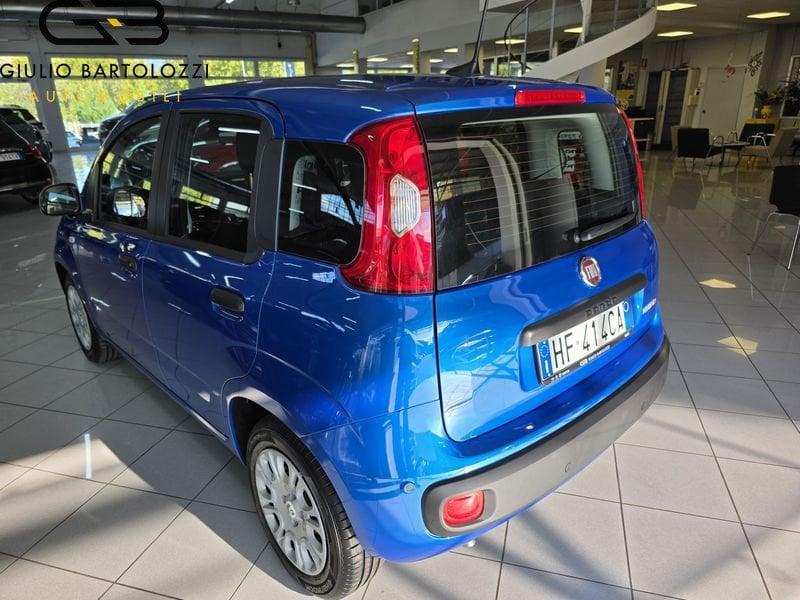 FIAT Panda Hybrid 1.0 70cv S&S Hybrid Icon