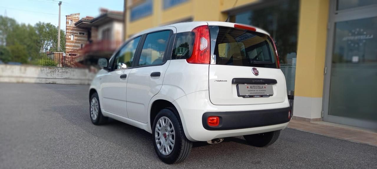 Fiat Panda Benzina cc. 1.242 5 Porte 5 Posti SOLO 55.075 Chilometri Utilizzabile anche per i Neopatentati.