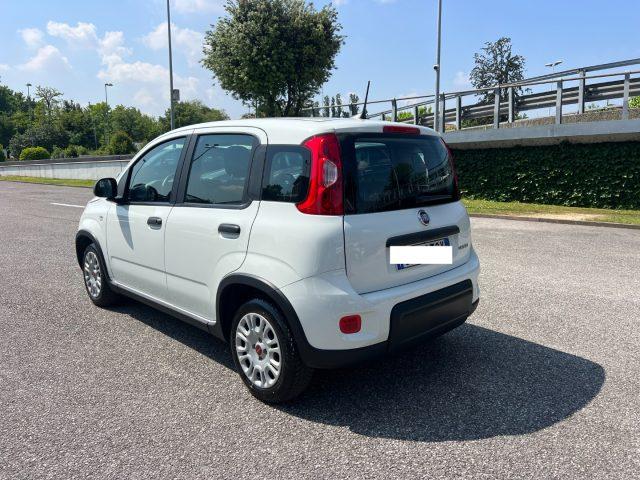 FIAT Panda 1.0 FireFly S&S Hybrid 70CV UNICO PROPRIETARIO