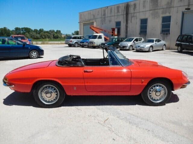 Alfa Romeo Spider 1.6 duetto osso di seppia -CRS --1967