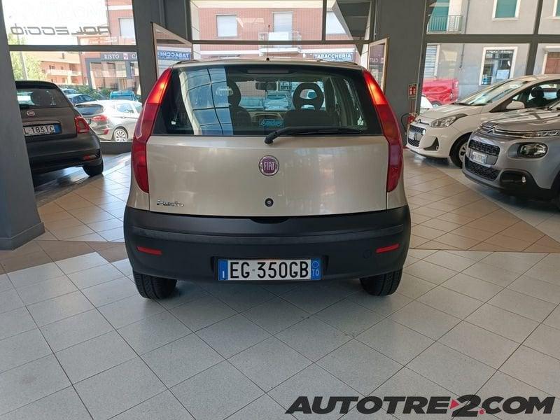 FIAT Punto Punto 5p 1.2 Classic Active