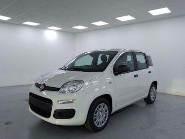 FIAT Pandina 1.0 firefly hybrid Icon s e s 70cv 5p.ti