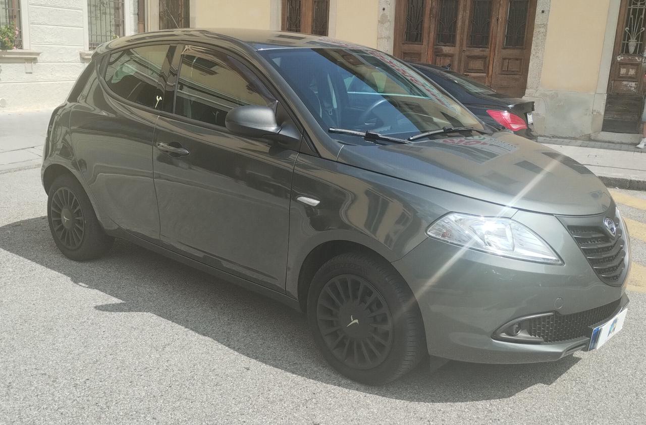Lancia Ypsilon 1.2 69 CV 5 porte Elefantino NEOPATENTATI