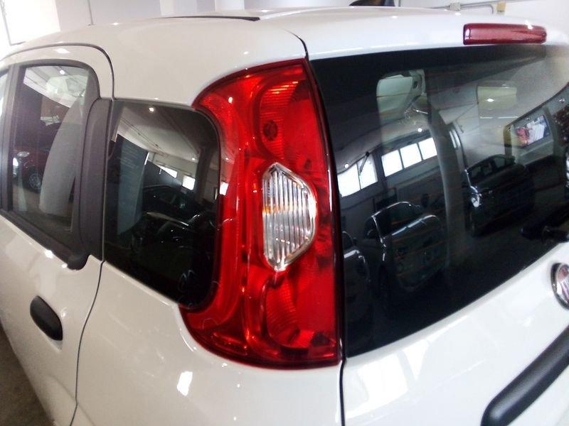 FIAT Panda NEW My25 1.0 70cv Hybrid Panda
