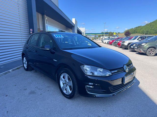 VOLKSWAGEN Golf 1.4 TGI 5p. Highline BlueMotion METANO