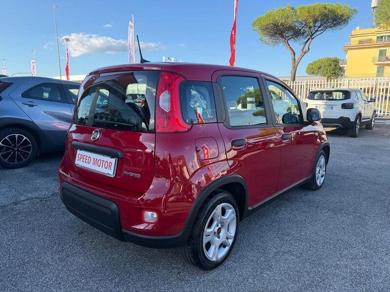 FIAT Panda Panda 1.0 firefly hybrid 70cv 5 POSTI, PRONTA CONSEGNA!