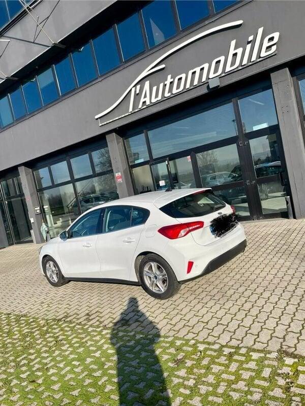 Ford Focus Focus 1.5 EcoBlue 120 CV automatico 5p. Business Co-Pilot