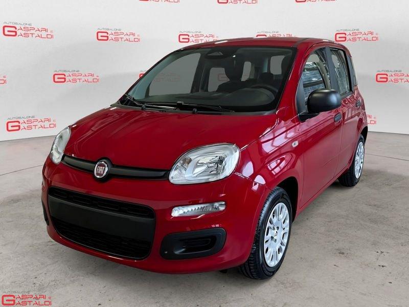 FIAT Pandina 1.0 FireFly 65cv S&S 6m Hybrid Icon 5 POSTI