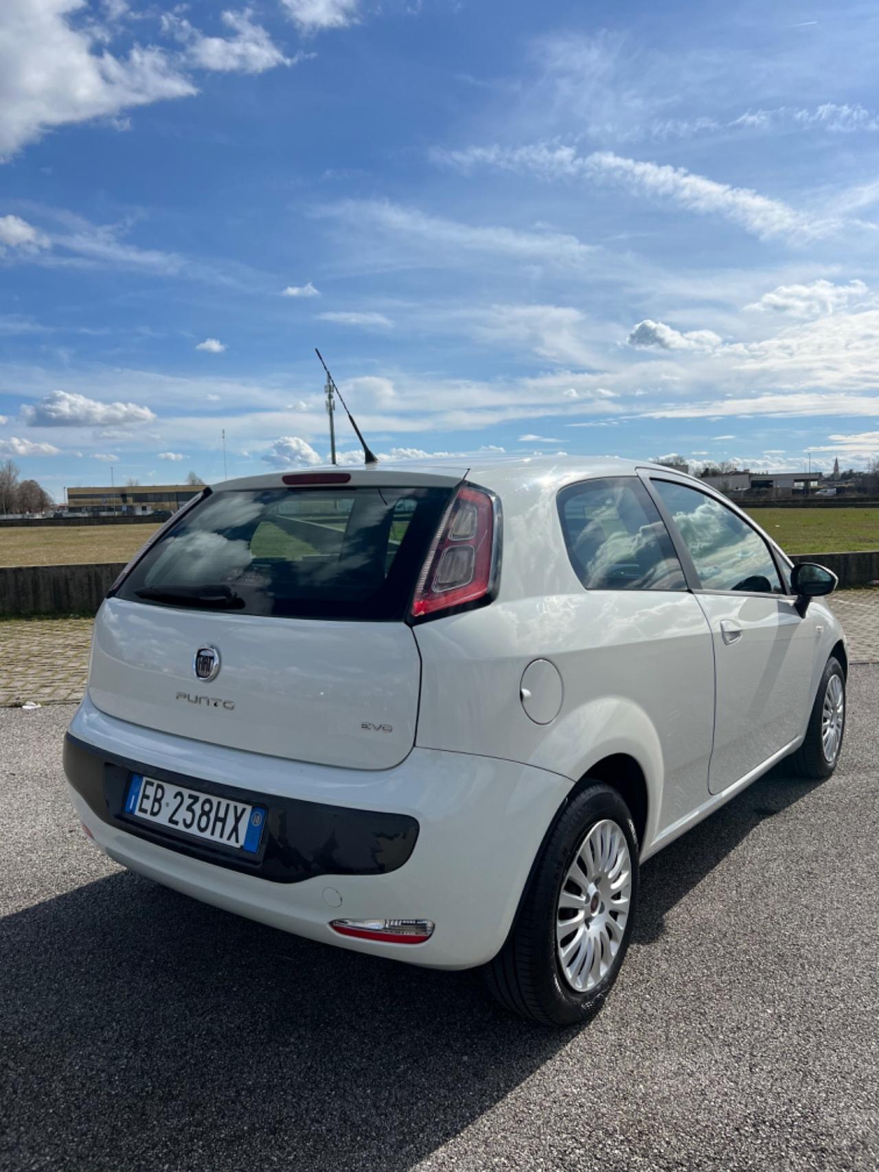 Fiat Punto Evo Punto Evo 1.4 3 porte Active