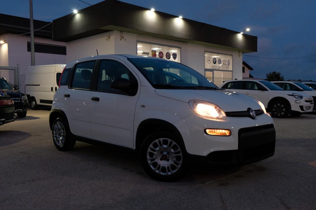 Fiat Panda 1.0 FireFly S&S Hybrid