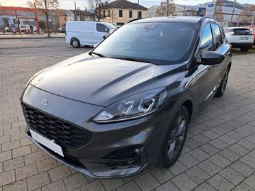 Ford Kuga 2.0 ecoblue mhev ST-Line 2wd 150cv