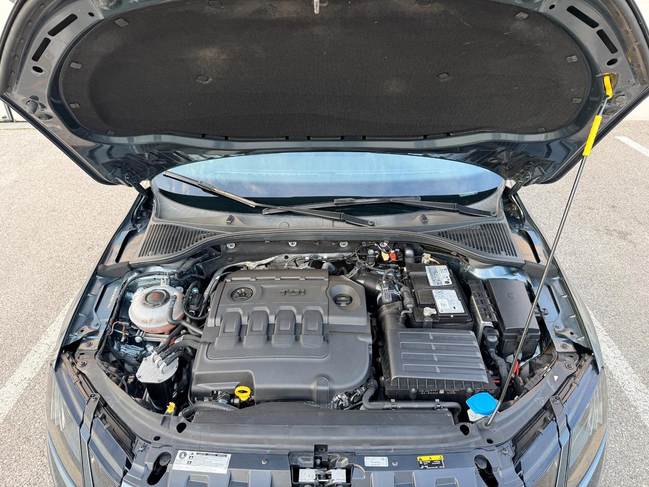 Skoda Octavia 1.6 TDI CR 115 CV DSG Wagon Executive