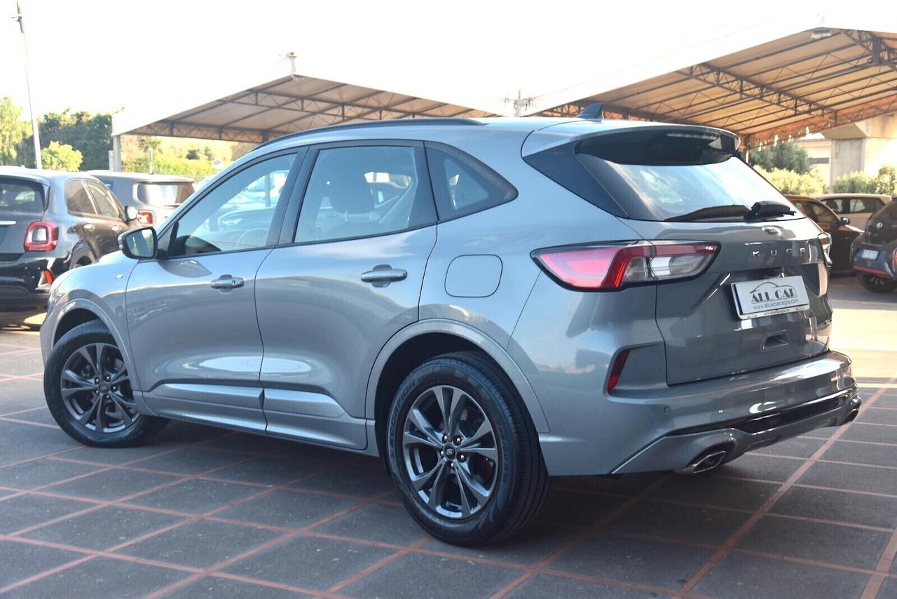 Ford Kuga 2.0 EcoBlue Hybrid 150 CV 2WD ST-Line