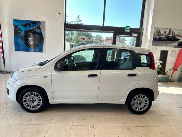 FIAT Panda 1.3 MJT 95 CV S&S Easy- OK NEOPATENTATI