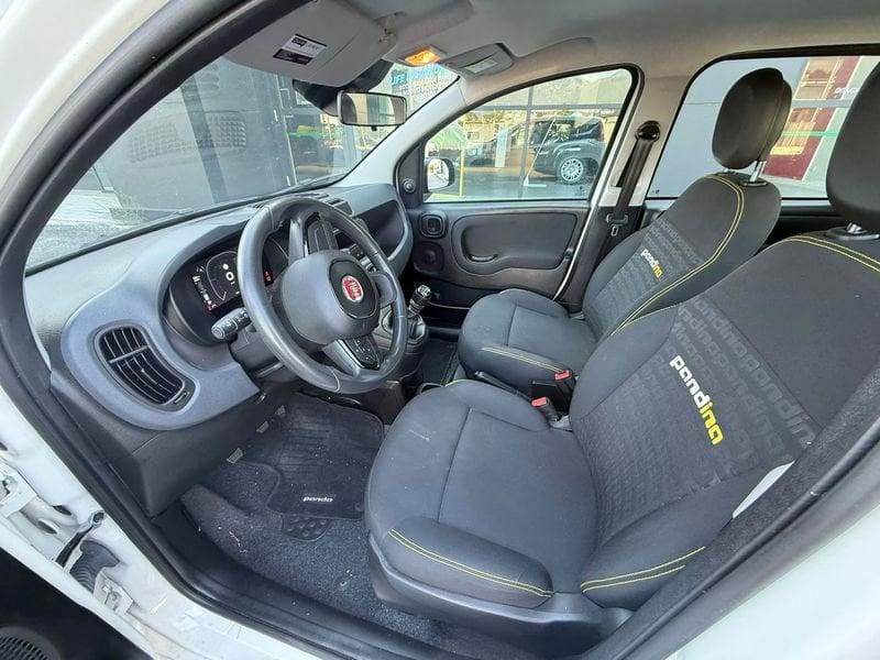 FIAT Panda NEW 1.0 70cv Hybrid PANDA