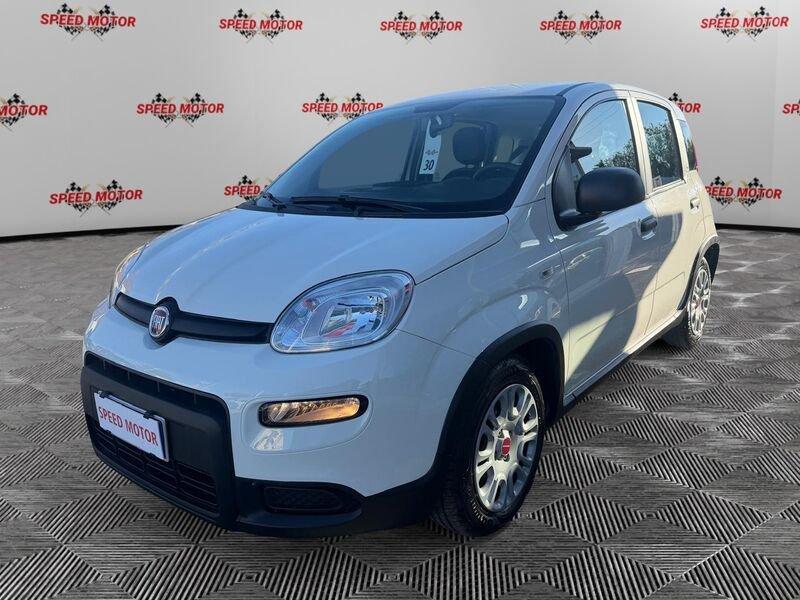 FIAT Panda Panda 1.0 firefly hybrid 70cv 5 POSTI, SENSORI!