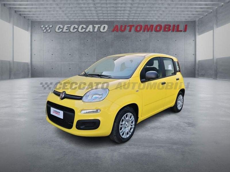 FIAT Pandina Pandina 1.0 65cv Hybrid Icon
