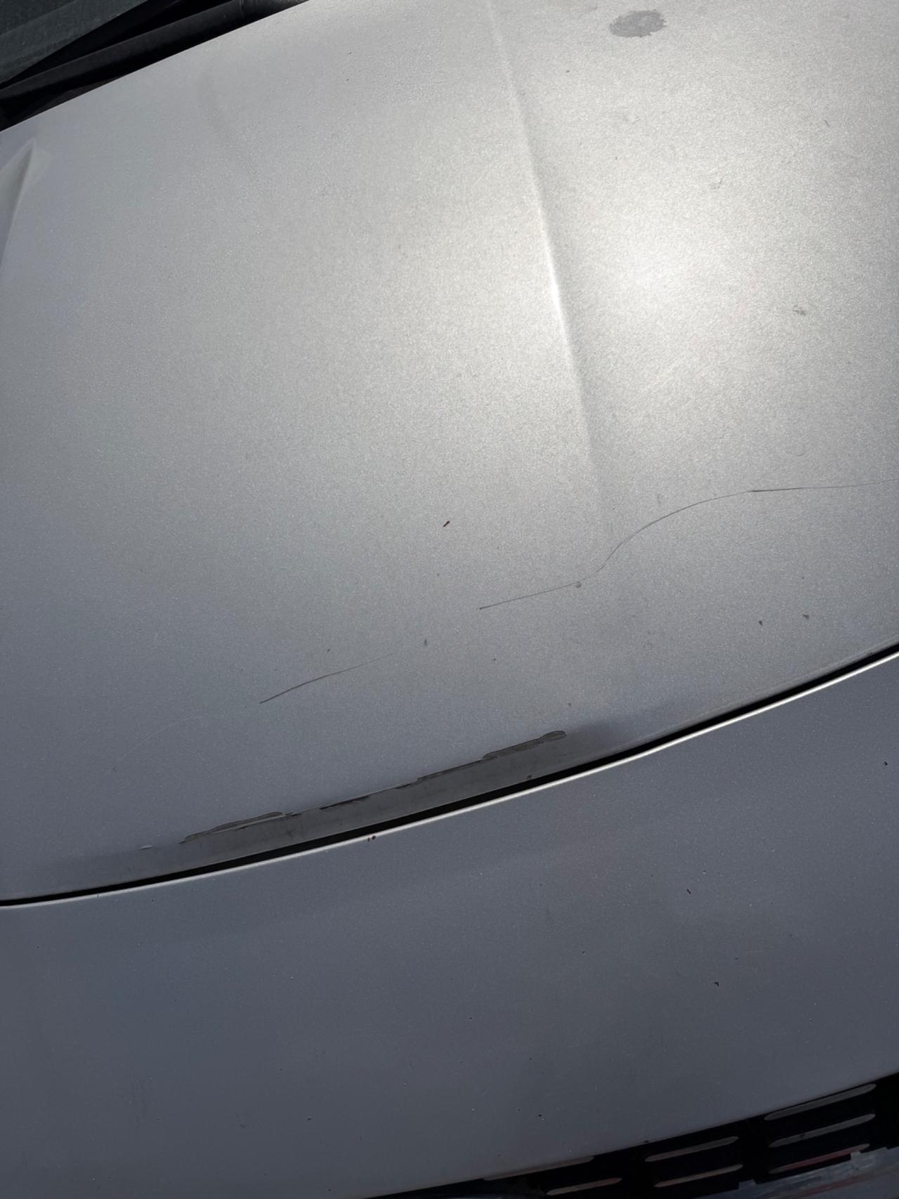 Fiat Tipo 1.6 Mjt S&S SW Business 120CV