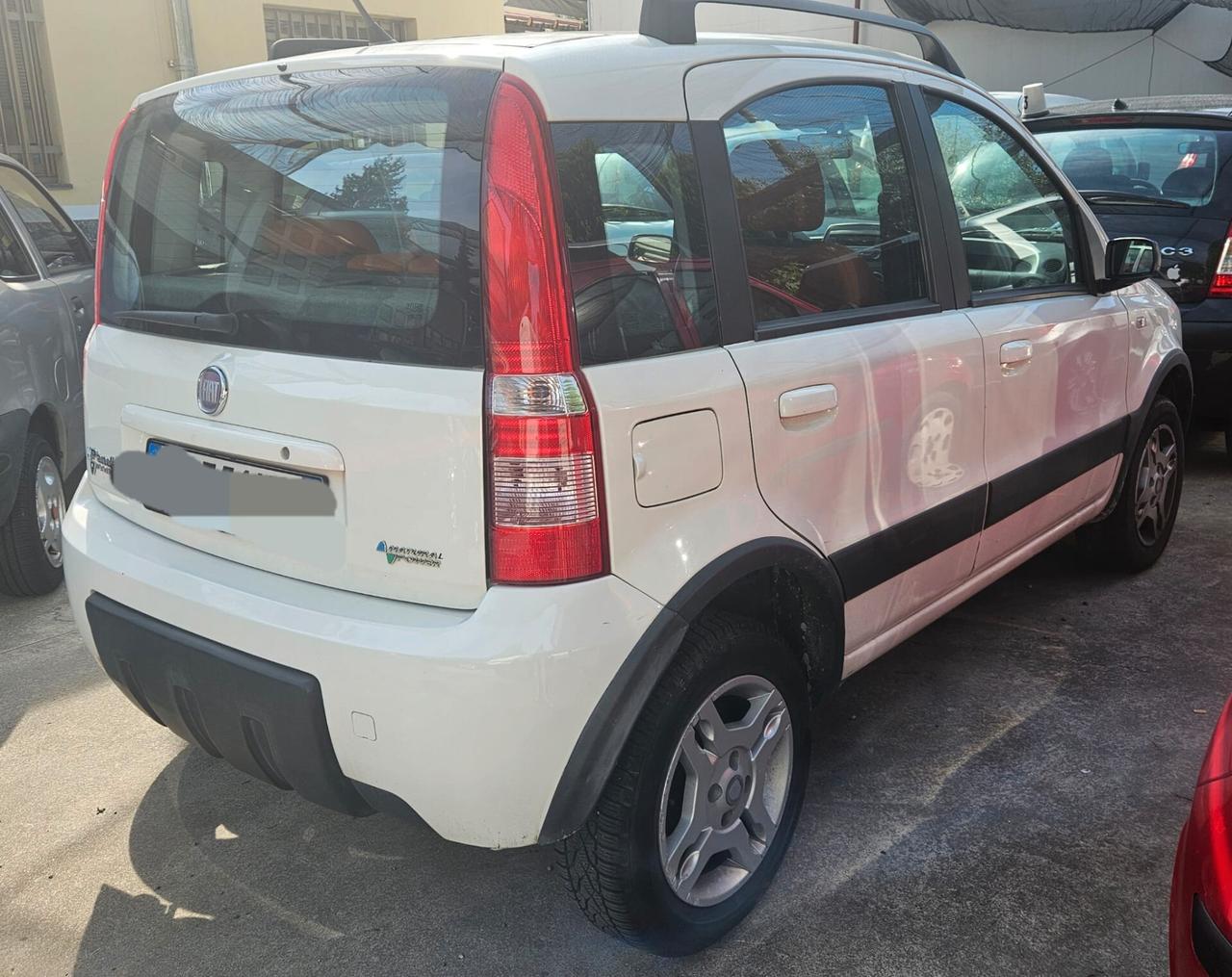 Fiat Panda 1.2 Climbing Natural Power