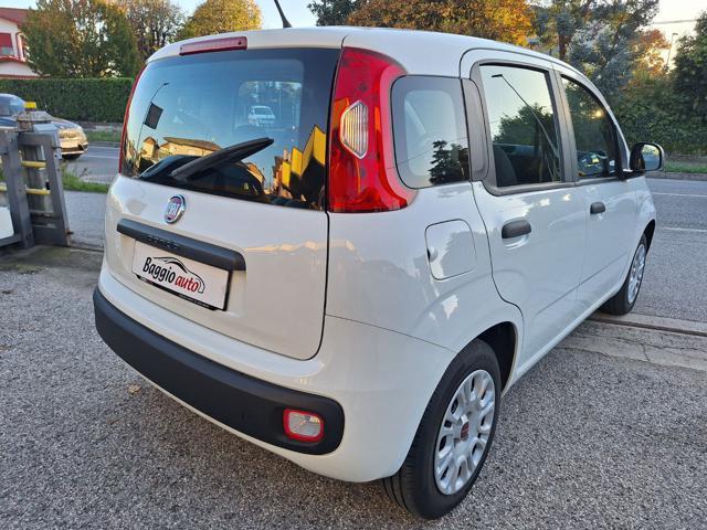 FIAT Panda 1.2 Easy OK X NEOPATENTATI N°FY852