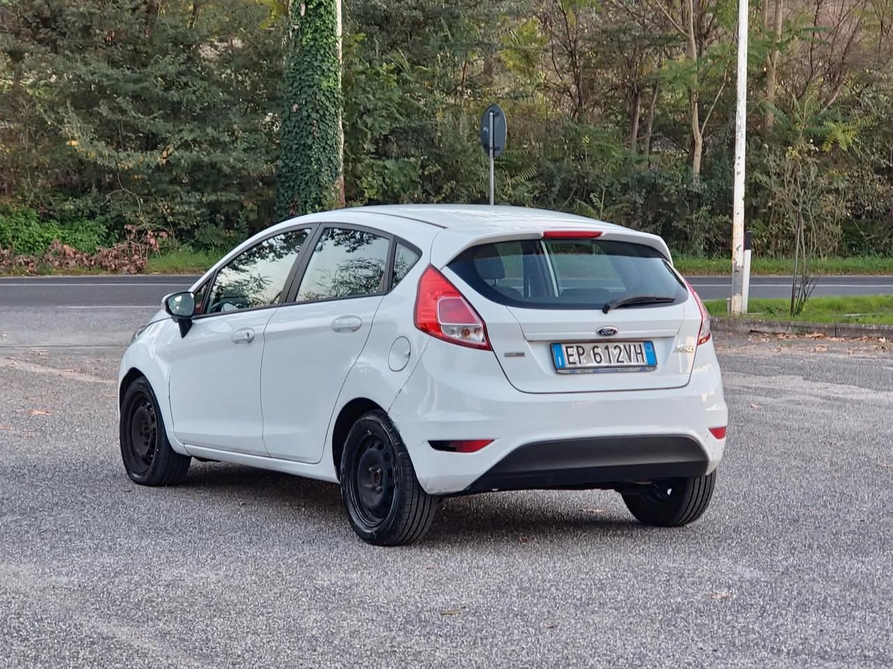 Ford Fiesta 1.5 TDCi 75CV 5 porte Titanium 2013-E5B NEO