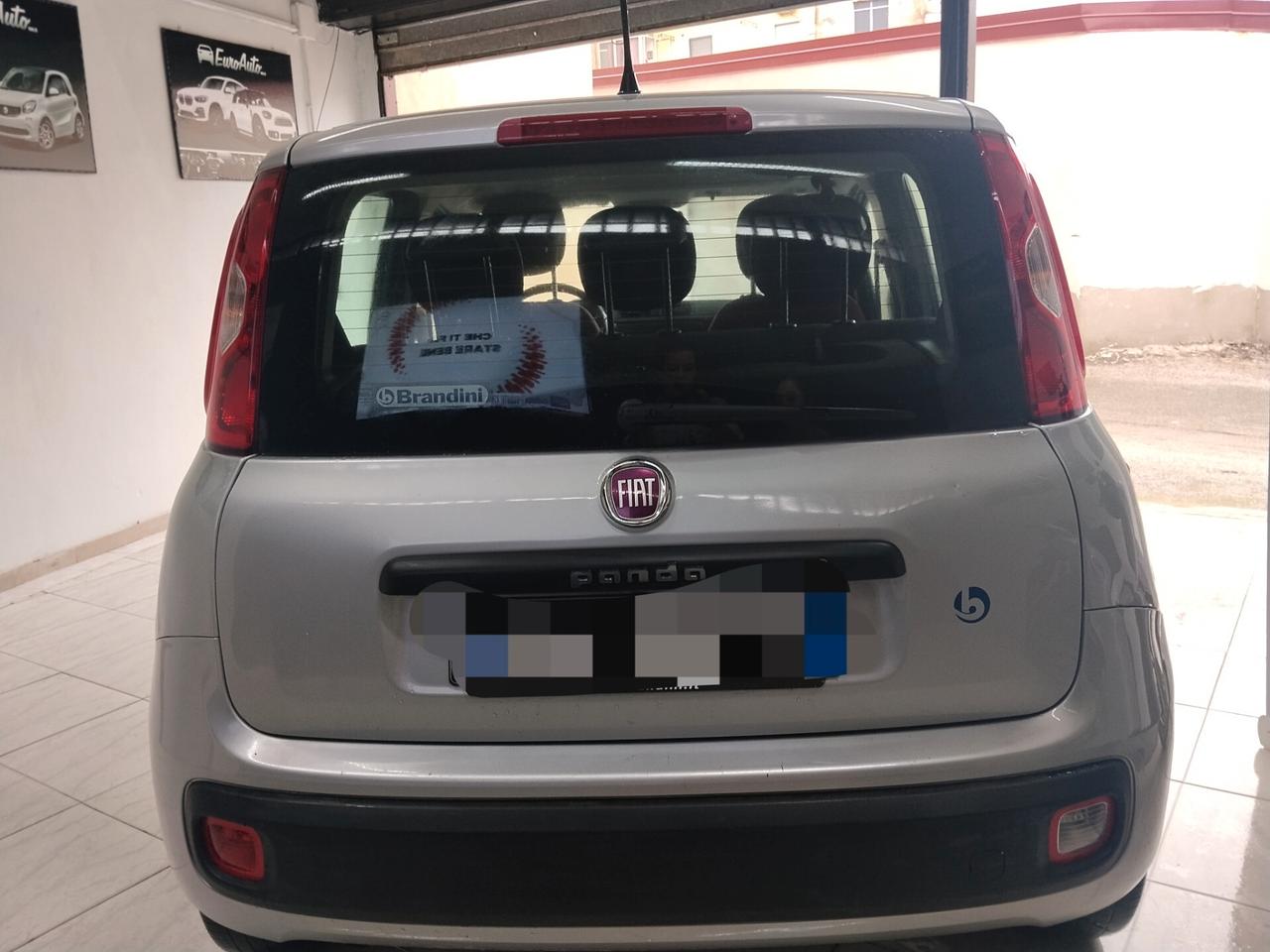 Fiat Panda 1.2 Benzina 2016 CON GARANZIA