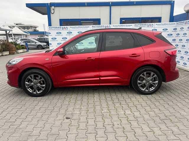 Ford Kuga 1.5 EcoBlue 120 CV 2WD ST-Line X