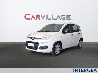 FIAT Pandina 1.0 firefly hybrid Icon s&s 65cv 4p.ti