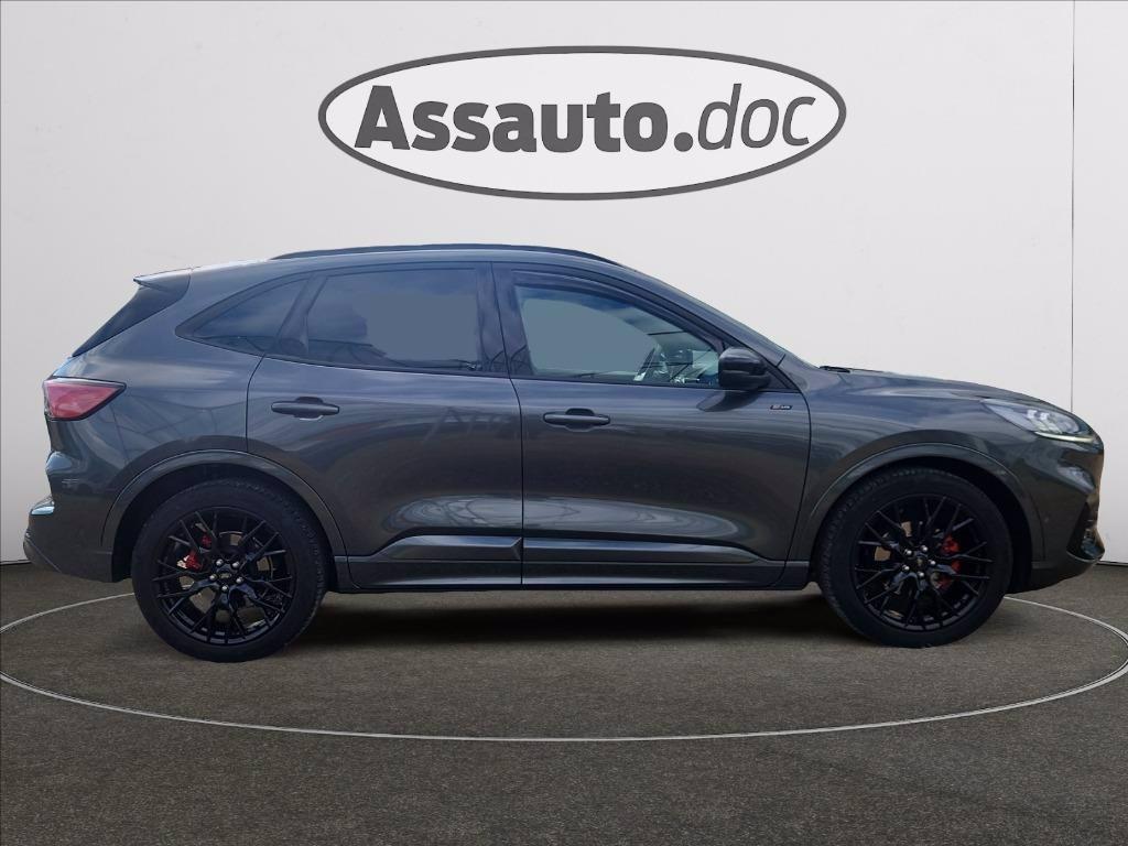 FORD Kuga 2.0 ecoblue ST-Line X Design 2wd 120cv auto del 2023