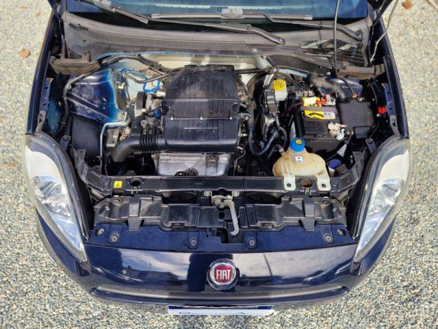 FIAT Punto 1.2 8v 5 Porte Street *Euro6*