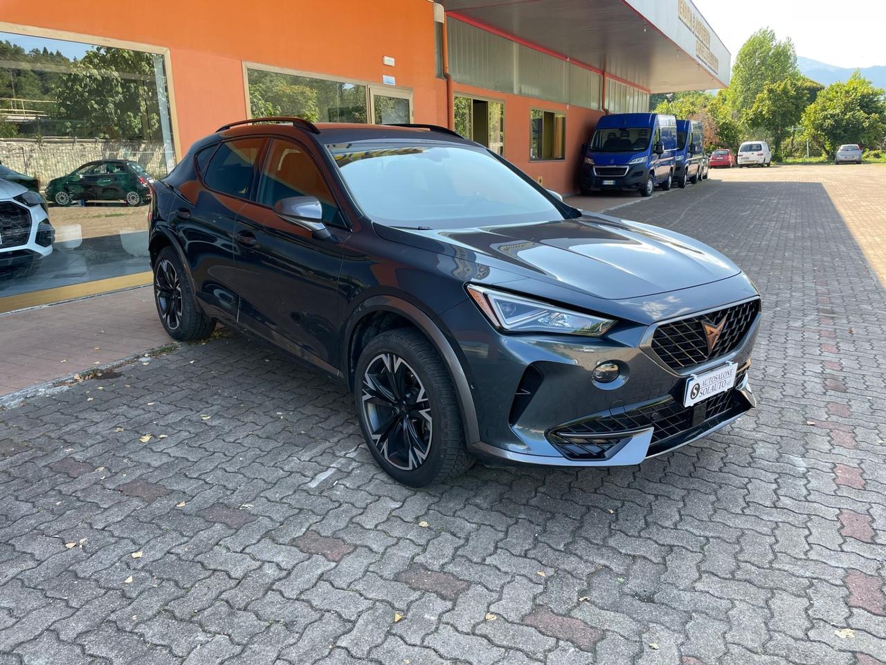 Cupra Formentor 2.0 TDI 4Drive DSG