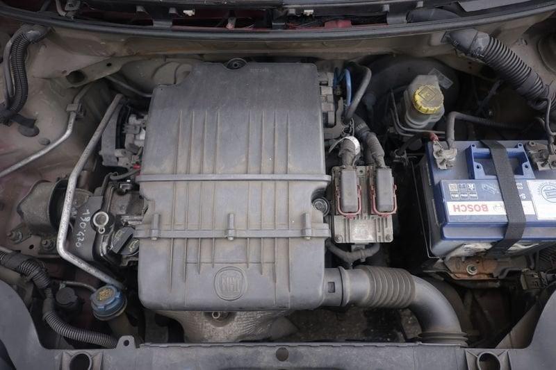 FIAT Panda FIAT Panda 1.2 Emotion Unicoproprietario