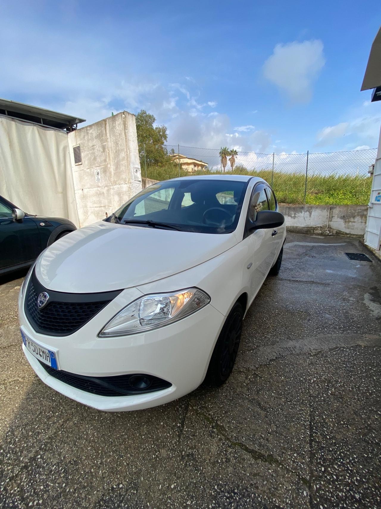 Lancia Ypsilon 1.2 69 CV 5 porte Elefantino