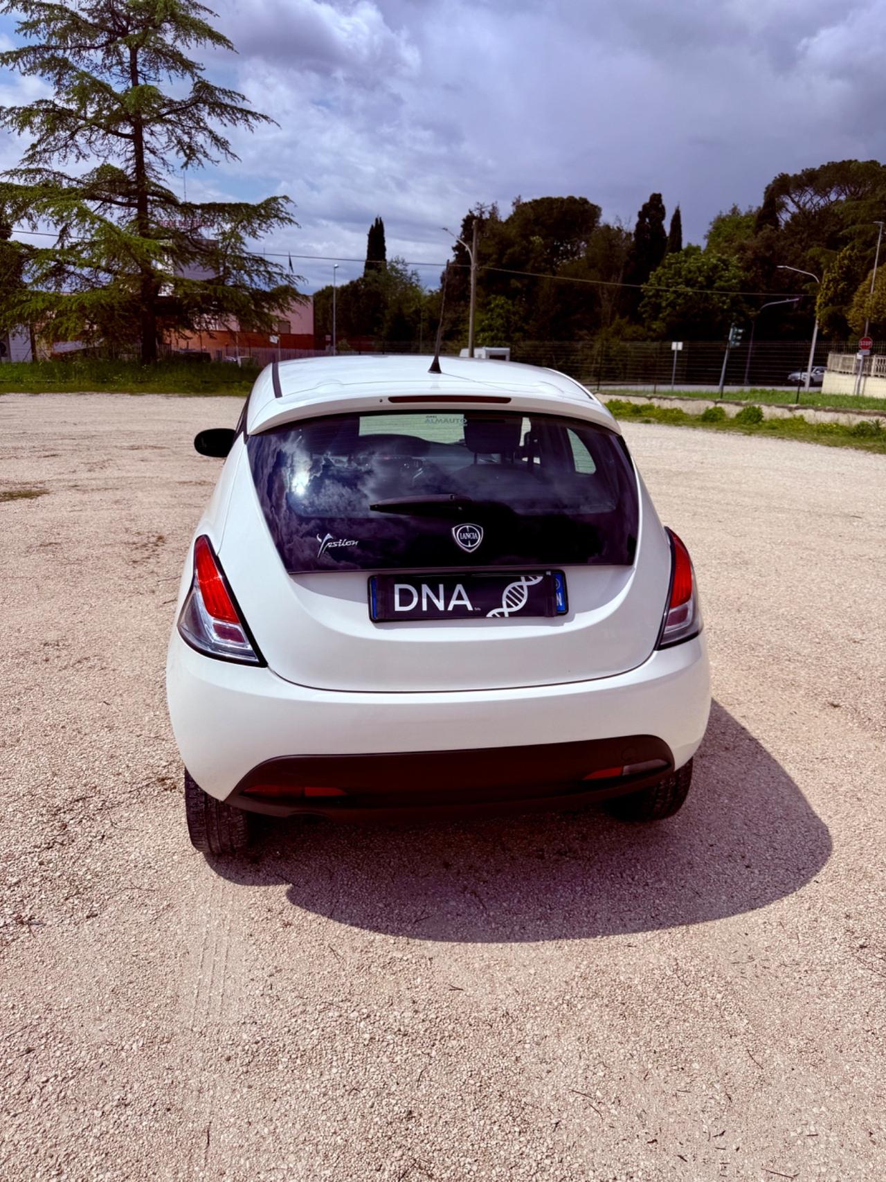 Ypsilon ecochic natural power neopatentati UNIPRO