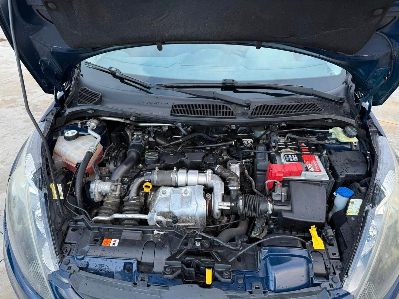 Ford Fiesta 1.6 TDCi 95CV 5 porte