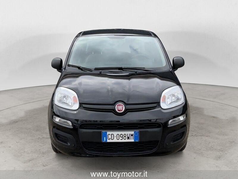 FIAT Panda 3ª serie 1.0 FireFly S&S Hybrid