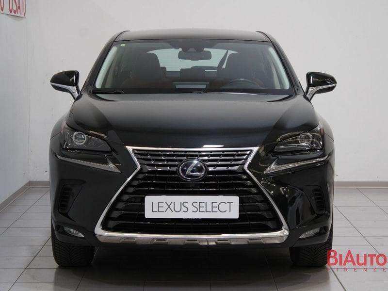 Lexus NX NX 300h 2.5 Premium 4wd cvt
