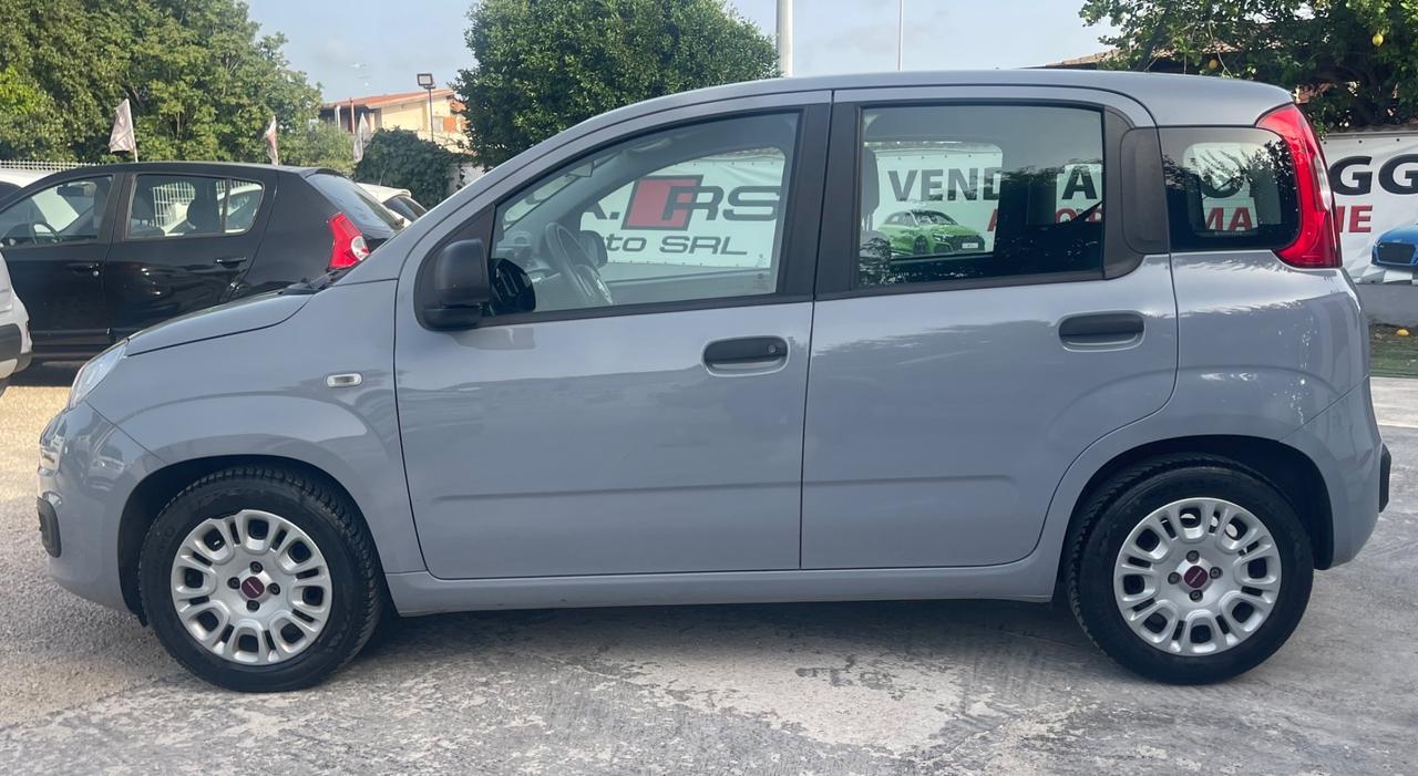 Fiat Panda Easy 1.0 FireFly 70cv