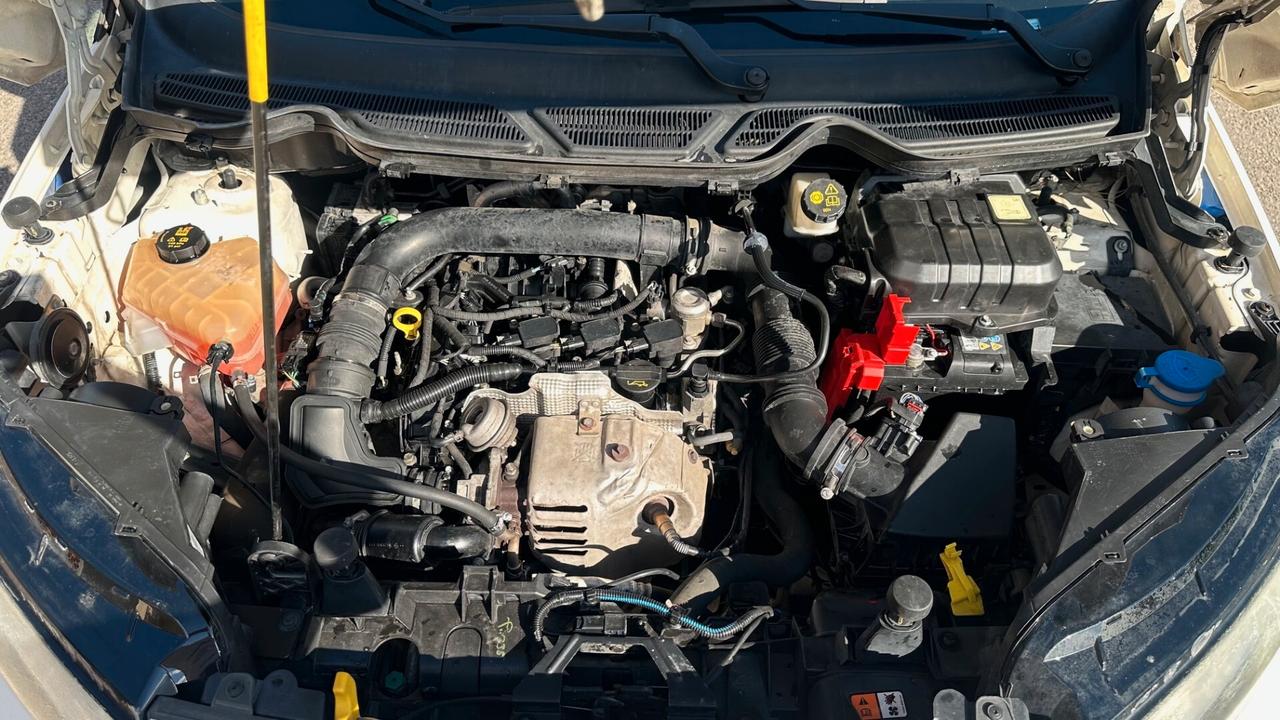 Ford EcoSport 1.0 EcoBoost 125 CV (motore fuso)