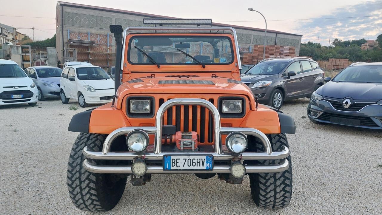 Jeep Wrangler 4.0 cat Hardtop Limited anno 91