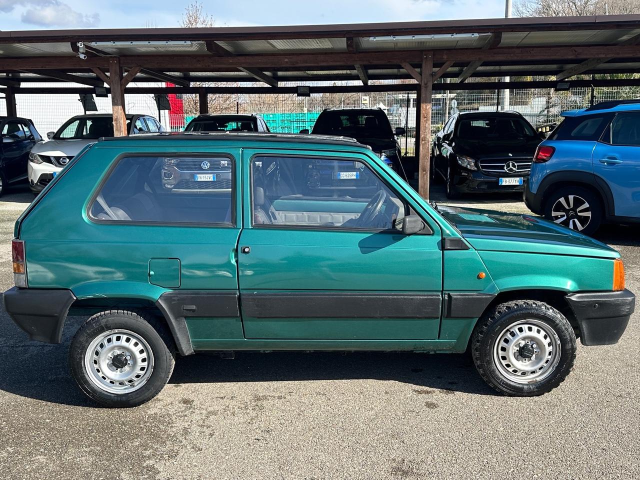 Fiat Panda 1100 i.e. cat Young
