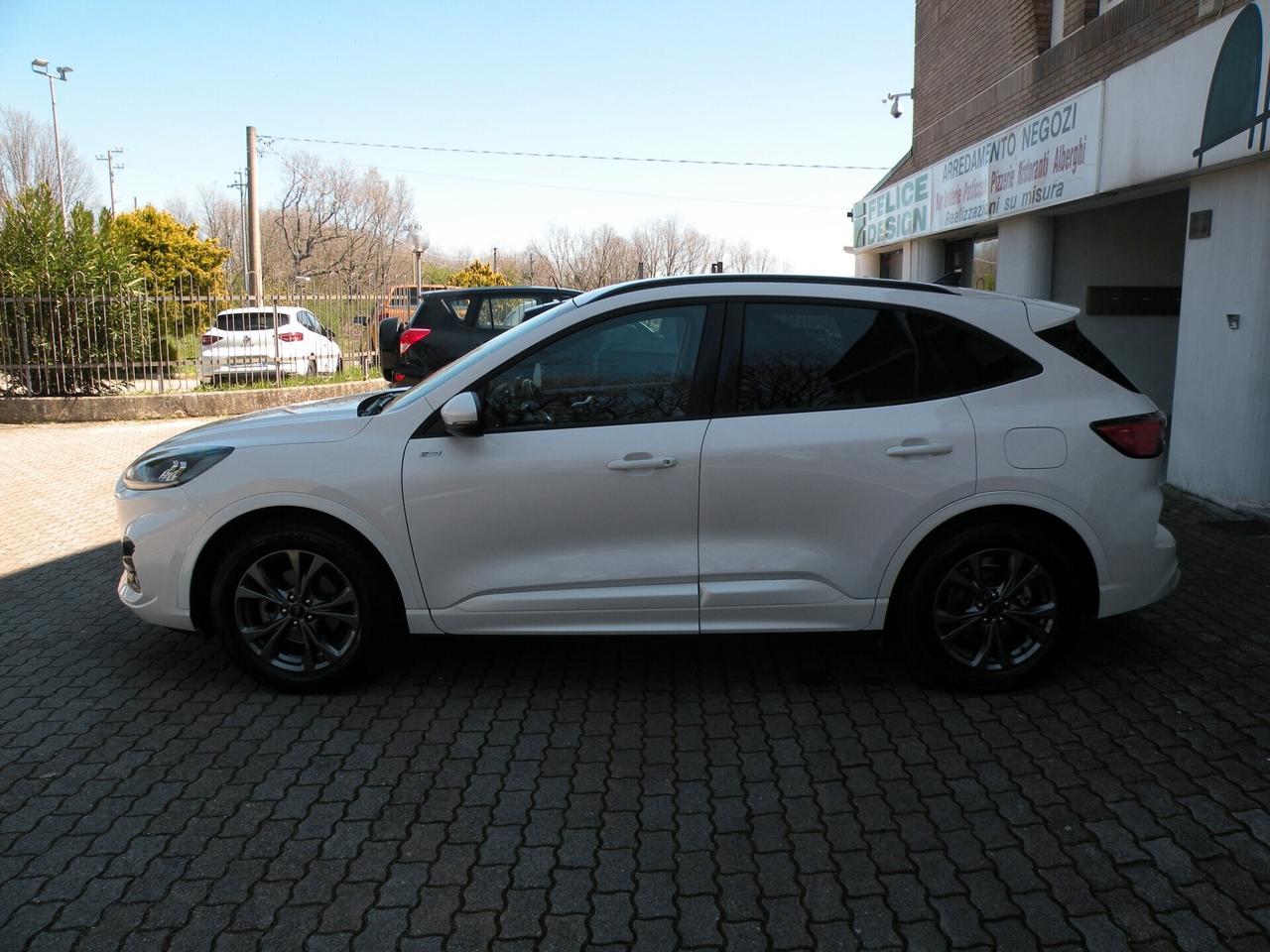 FORD KUGA 2.5 FHEV 190CV CVT 2WD ST-LINE 2023