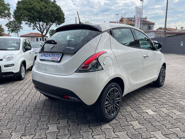 LANCIA Ypsilon 1.0 FireFly 5 porte S&S Hybrid Oro VARI COLORI