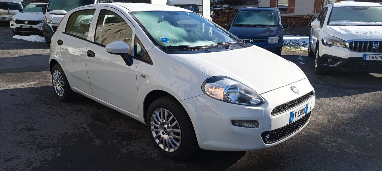 Fiat Punto 1.2 8V 5 porte Street