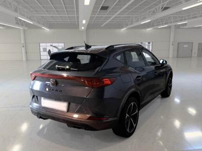 Cupra Formentor 1.5 tsi 150cv dsg