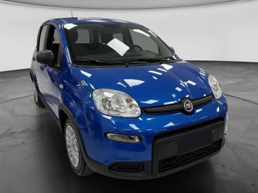 FIAT Panda III 2021 - Panda 1.0 firefly hybrid s&s 70cv