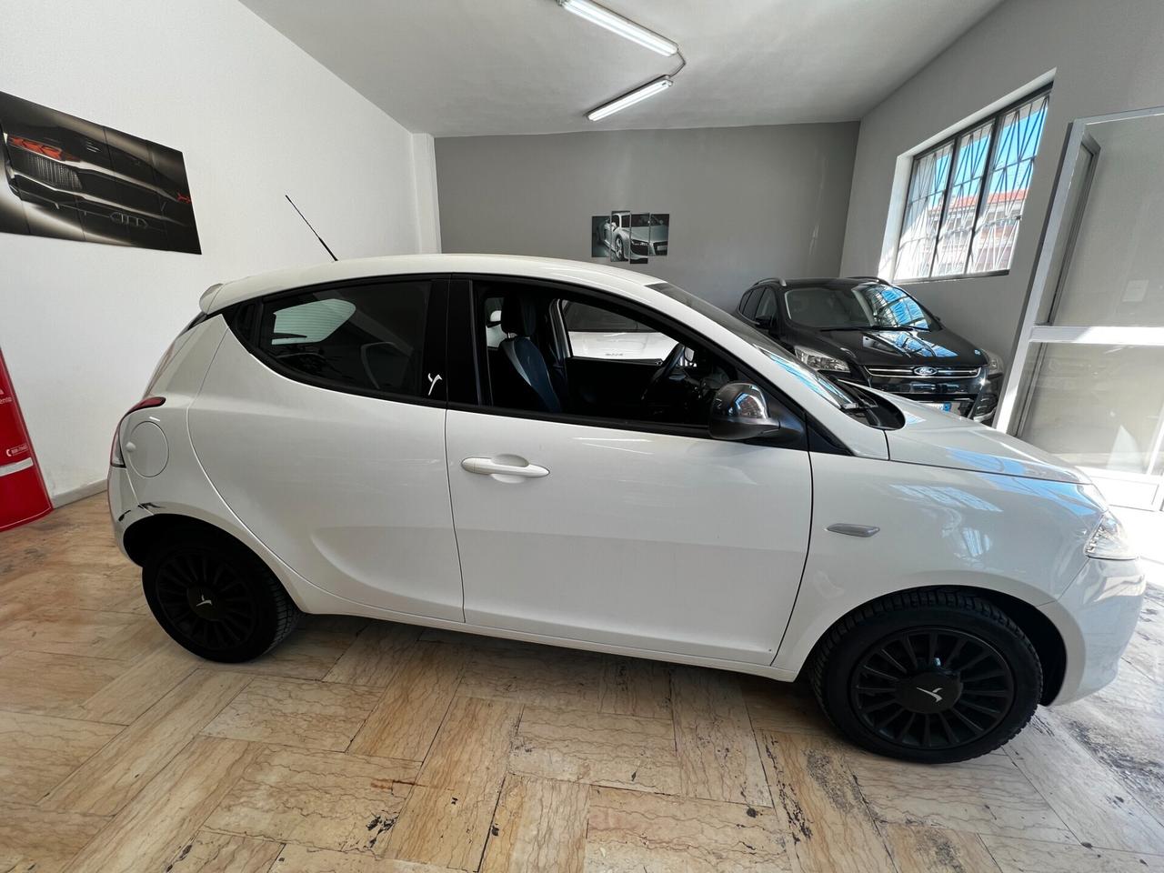 Lancia Ypsilon 1.3 MJT 16V 95 CV 5 porte S&S Elefantino