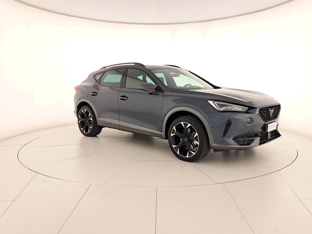 Cupra Formentor 2.0 tdi 4drive 150cv dsg